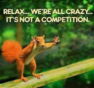crazy squirrel