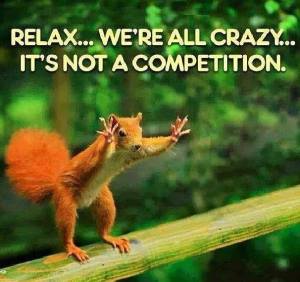 crazy squirrel